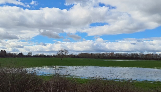 Lowlands within Otmoor Nature Reserve